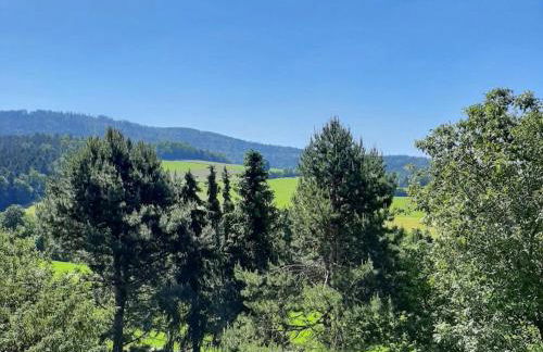 Bernhardsberg - Foto 36