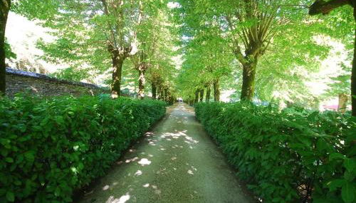 Villa il Poggiolo - Photo 5