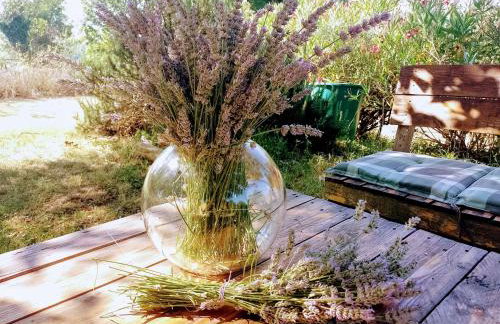 Golden Valley apartment & ranch - Foto 23