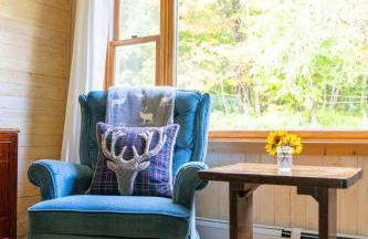 Cozy Cabin in Stratton Mountain & Mount Snow 10min - Photo 10