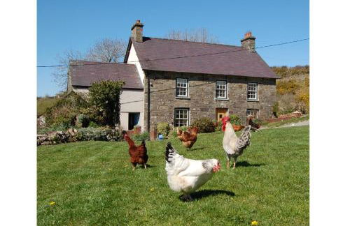 Nantgwynfaen Organic Farm Wales - Photo 1