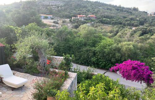 Harry's Studios - Photo 27