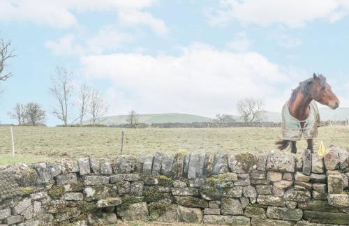 Dove Cottage - Photo 19