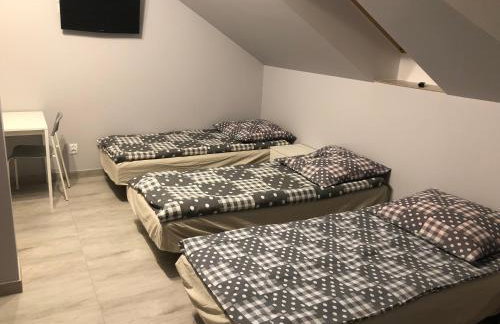 Noclegi u Alicji - Foto 19