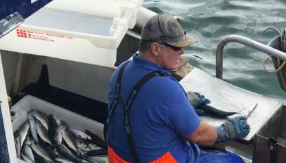 ARDUTHIE STREET - Photo 4