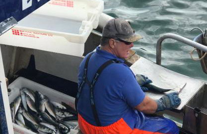 ARDUTHIE STREET - Foto 4