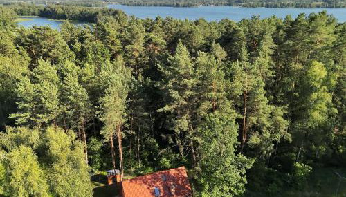 Ceglany Domek z jacuzzi, nad jeziorem, przy lesie - Foto 3