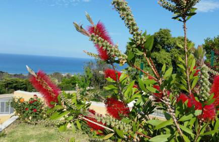 Gîte L'Appart de Case Vanille - Foto 46