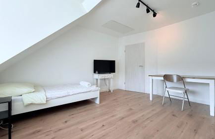 Zentrale Apartments in Rendsburg ideal für Monteure & Geschäftsreisende - Foto 35