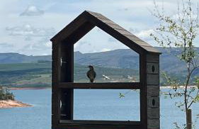 Nau Loft Refúgio - Capitolio MG - Foto 10