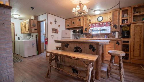 Black bear cabin with blow up hot tub - Foto 3