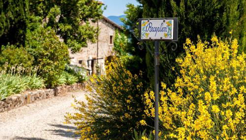 Florence Winery AgriResort - Fattoria Lavacchio - Foto 2, Garden, Garden view