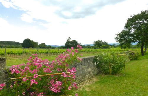 Gîtes Château de la Selve - Foto 38