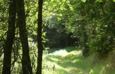 Ferienwohnungen Meindl - Foto 13