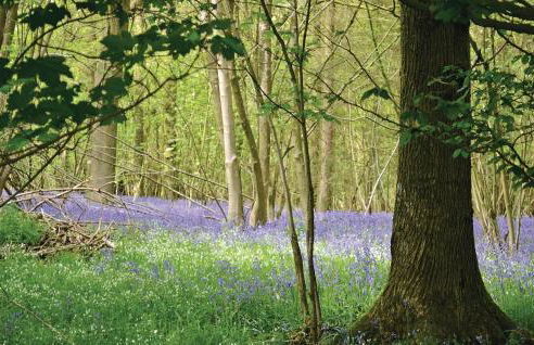 Stunning Home In Gouy Saint Andre - Foto 24