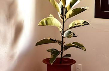 Casa VillaMar. - Foto 40