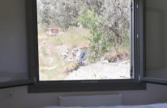 Admonis - Home in the olive grove - Foto 33
