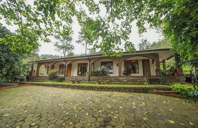 Samrakshitha Suits - Foto 34