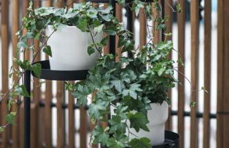 Winter Sports Events 2026 - DUPLEX with Terrace - 6 min walk to Bernina Express - Foto 9