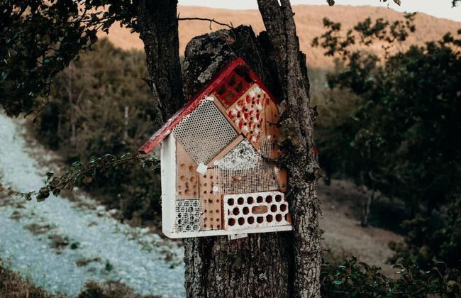 Azienda Agricola Saint Hubert - Foto 33