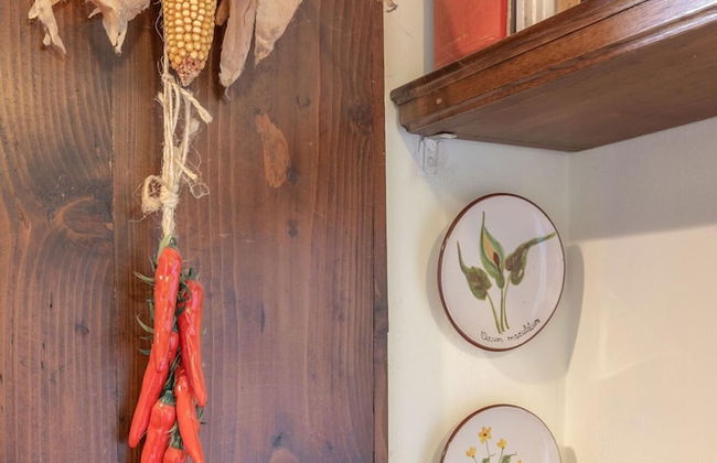 Casale Madreterra - Casale Madreterra - Foto 41