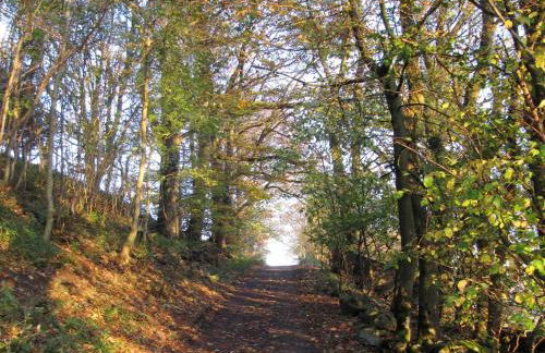 Lilac Cottage - Foto 13