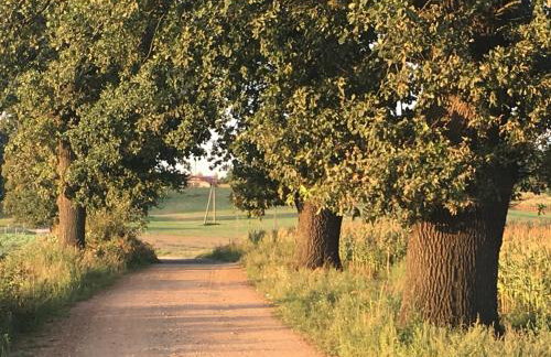 Toskania Kociewska - Photo 51