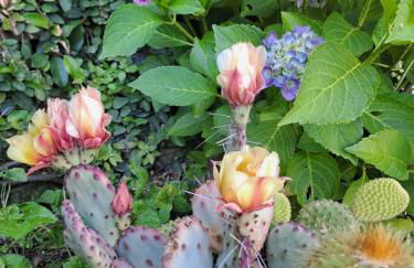 Il Paradiso all'improvviso - Photo 6