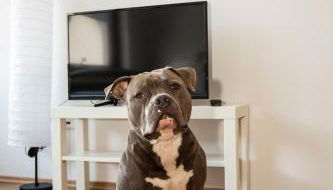 AVR Apartment HOF 8 - Foto 2