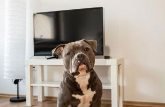 AVR Apartment HOF 8 - Foto 2