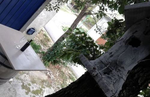 Sea apartment by beach Vine, olive oil tasting, kajaks, grill - Photo 34