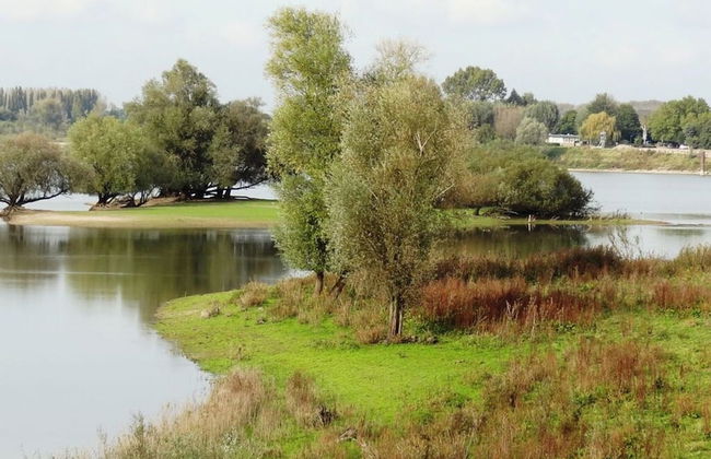 Holiday Apartment Alleblas - Foto 15