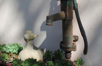 Agriturismo Le Clementine - Foto 20