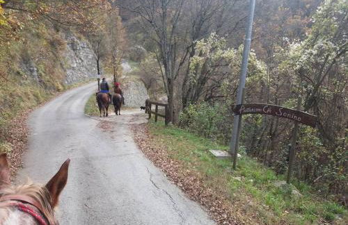 Agriturismo Cà Sonino - Photo 2