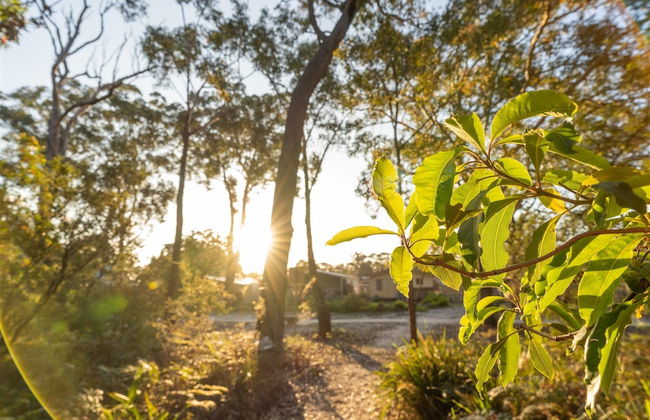 Tasman Holiday Parks - Myola - Photo 1