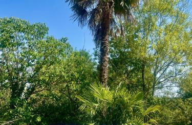 Gîte 8 personnes dans un écrin de verdure avec vue - Foto 21