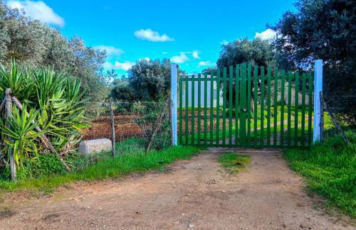 Casa Tosca - Foto 13