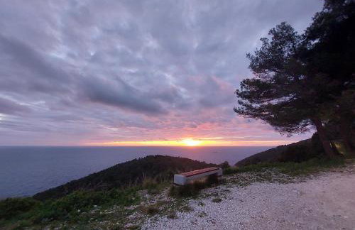 Apartmani Marija Mljet - Foto 7