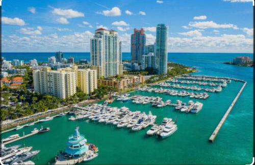 Tropical Haven Fully Remodeled Entire home Sleep 6 - Foto 48