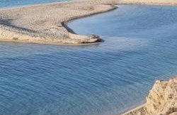 Marmari megali ammos oasis studio's - Photo 27