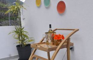 Lazy Lizard Studio - Foto 57