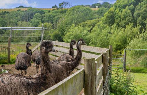 2 Bed in Ilfracombe oc-maltc - Photo 23
