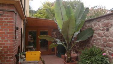 Ferienwohnung Saaleblick - Foto 4, Garden