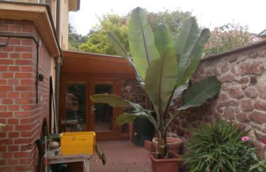 Ferienwohnung Saaleblick - Foto 4