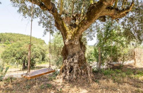 Casa da Figueira - Pool and Lounge - Foto 27