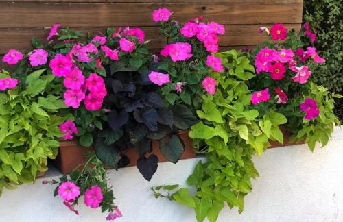 Exceptional Hilltop View Villa - Foto 34