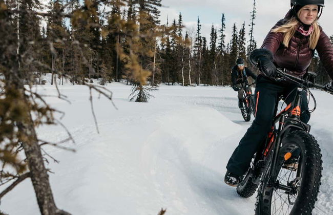 Pallas-Yllästunturi Electric Bike Tour - Foto 3