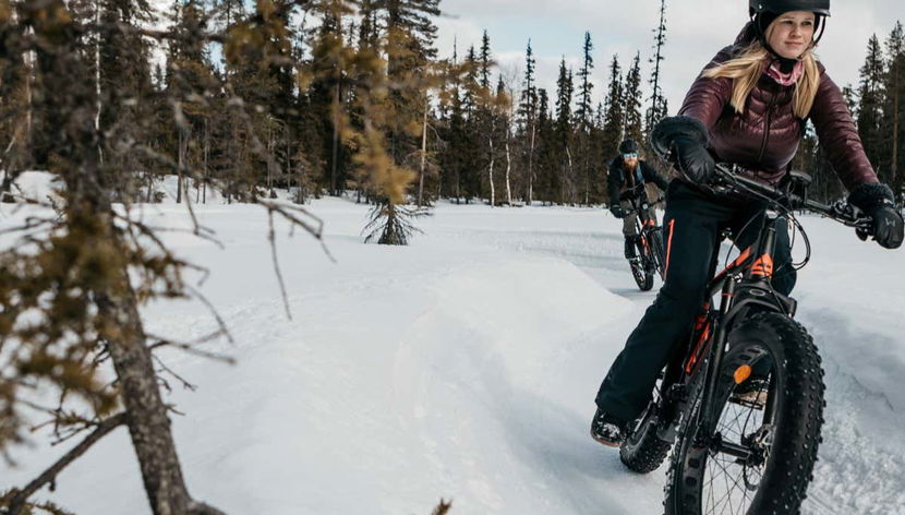 Pallas-Yllästunturi Electric Bike Tour