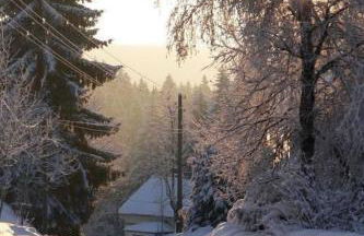 Apartment Wiesengrund by Interhome - Foto 17