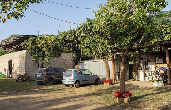 Giardino di Nonno Lucio - Foto 44